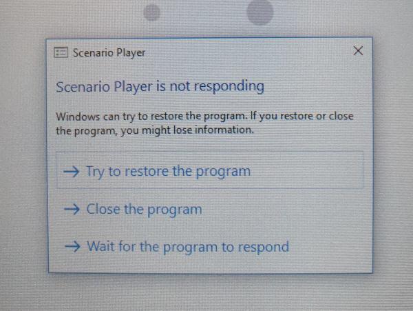 Windows asks whether the application should be continued or stopped.